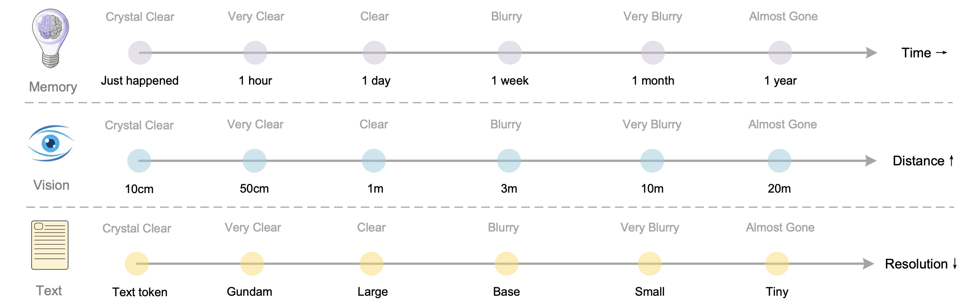 用光学上下文压缩模拟遗忘机制