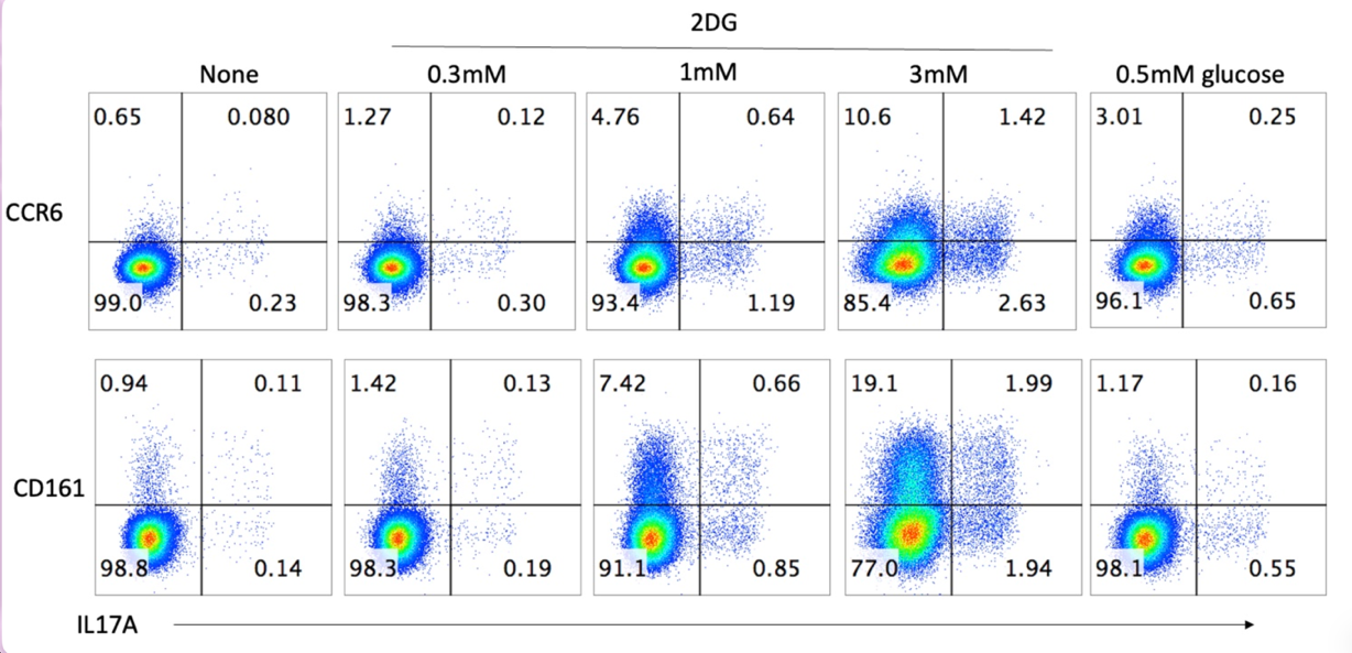 T细胞流式细胞术数据